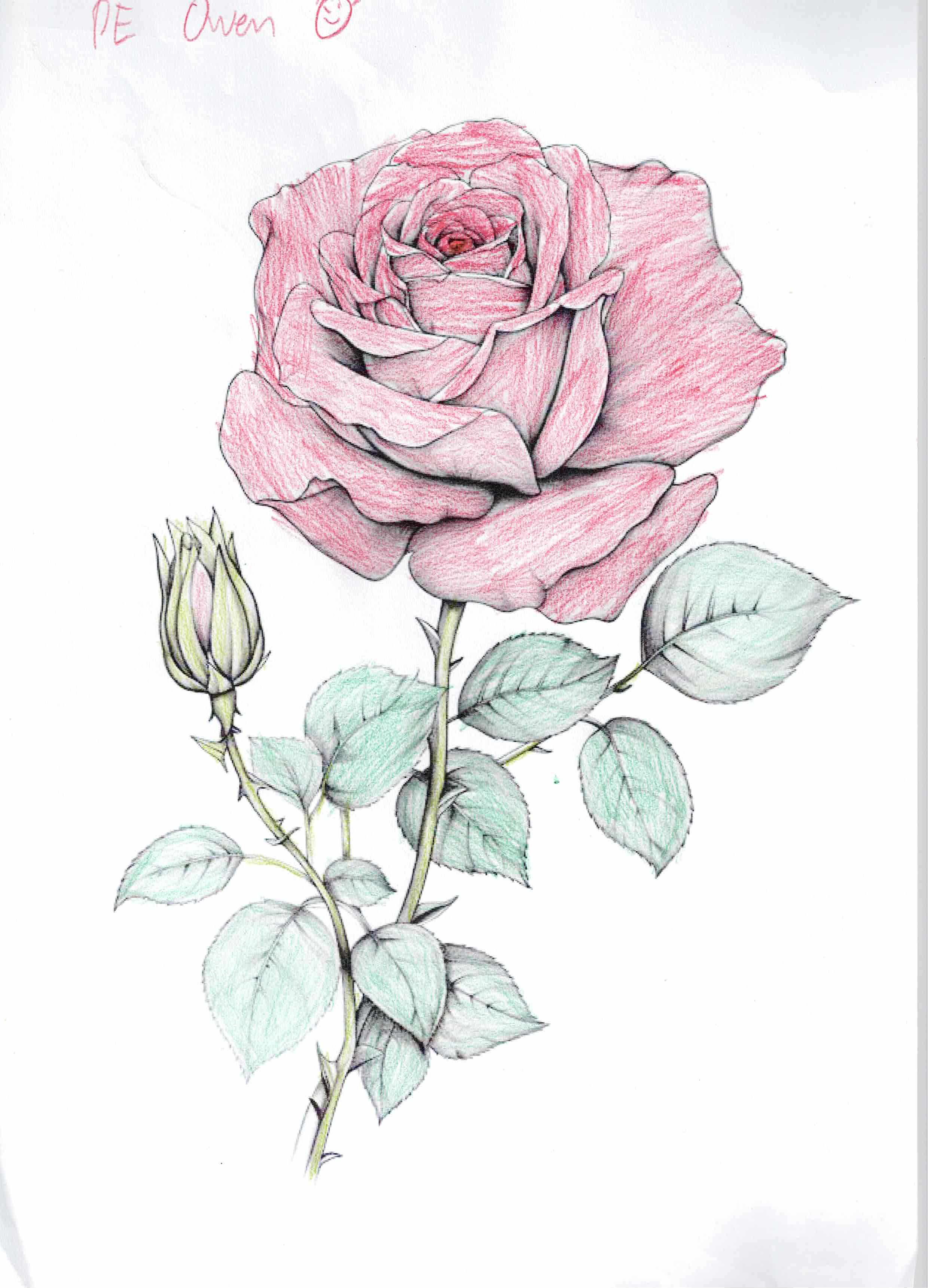 Tercera obra by Owen